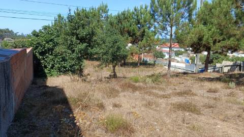 Terreno com 1.894 m2 / Amor / Leiria