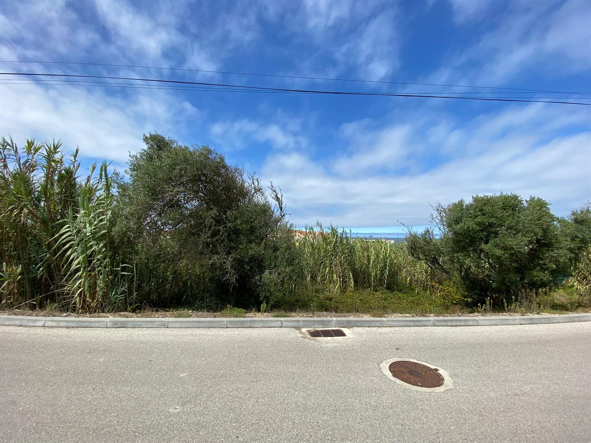 Terreno para construção / Praia do Pedrogão/Leiria