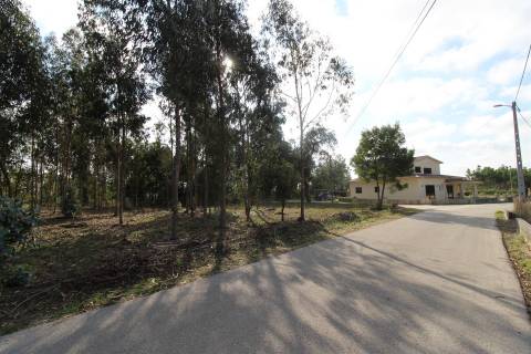 Terreno / Carvide / Leiria