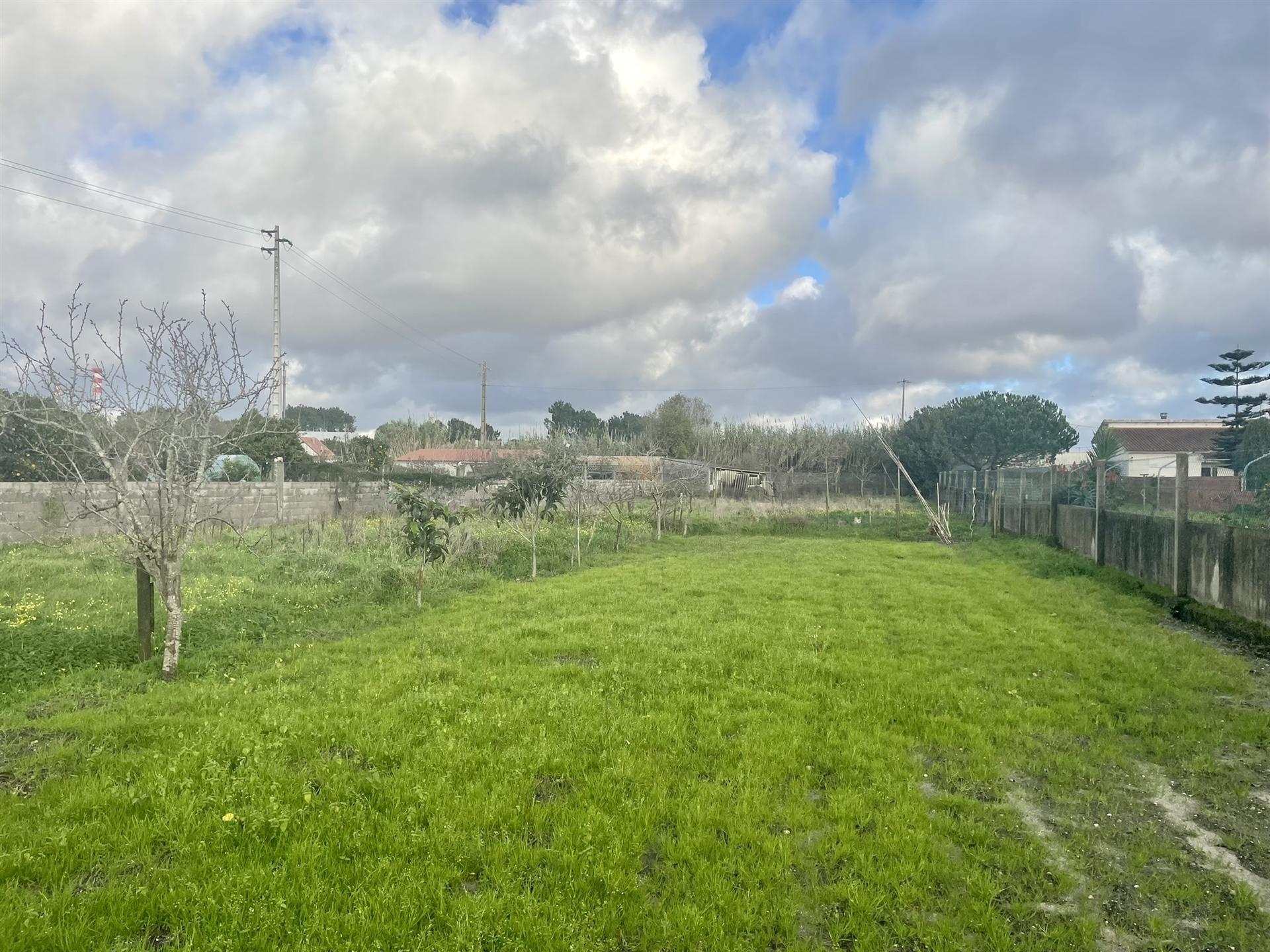 Terreno para construção / Com Muro / Marinha Grande