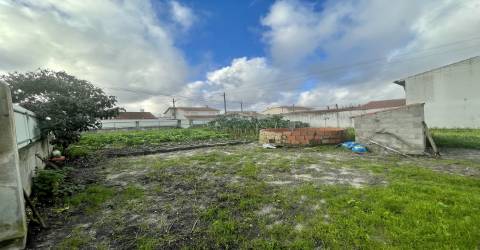Terreno para construção / Com Muro / Marinha Grande