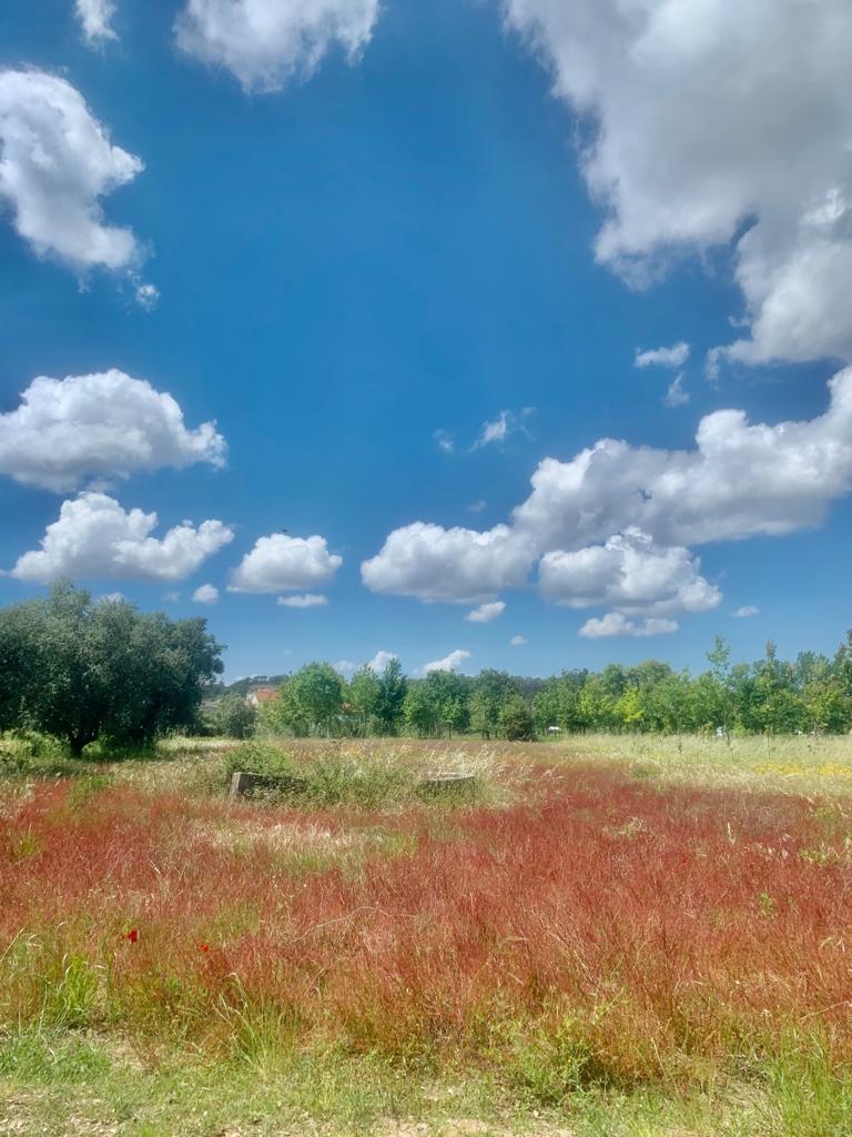 Terreno plano para construção / 2735m2 / Parceiros / Leiria