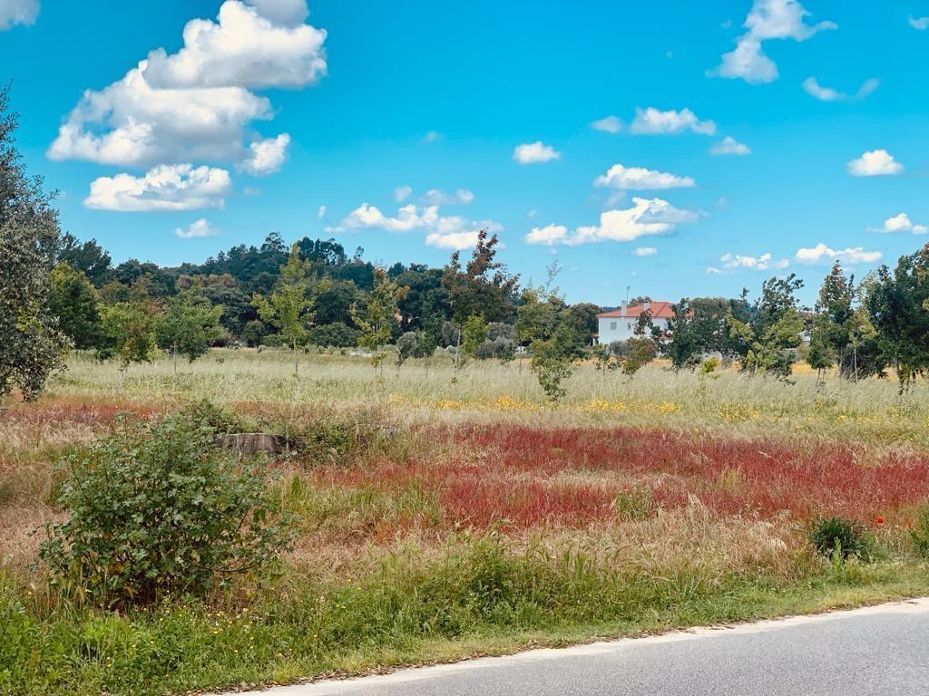 Terreno plano para construção / 2735m2 / Parceiros / Leiria