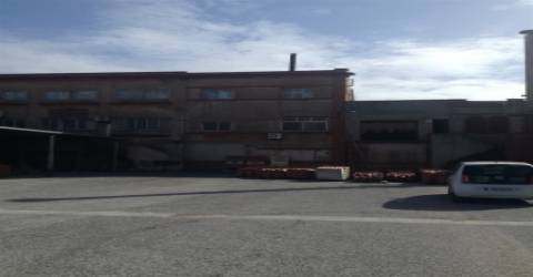 Terreno plano para construção / 32,840m2 / Cruz da Légua / Porto de Mós