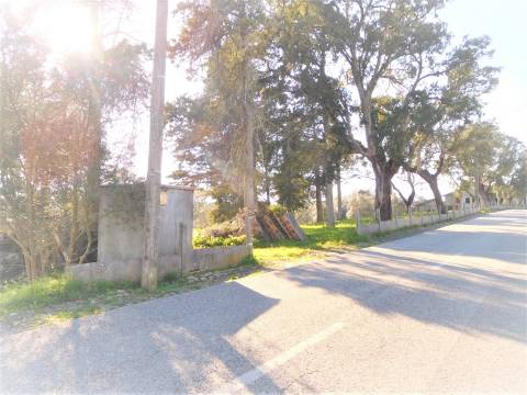 Lote de Terreno / Com 6770m2  / Monte Real / Leiria