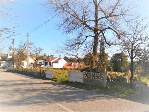 Lote de Terreno / Com 6770m2  / Monte Real / Leiria