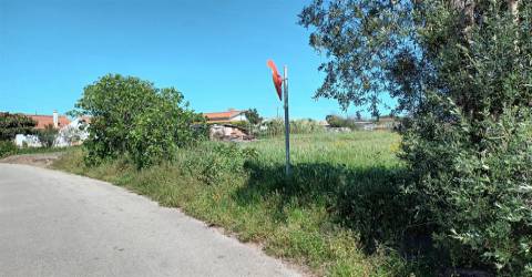 Terreno plano para construção / 7 900 m2 / Amor / Leiria