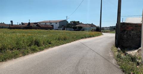 Terreno plano para construção / 7 900 m2 / Amor / Leiria