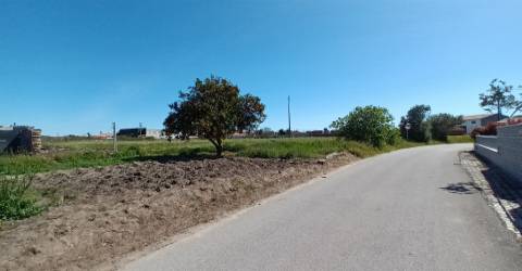 Terreno plano para construção / 7 900 m2 / Amor / Leiria