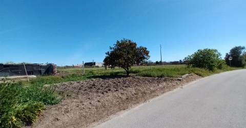 Terreno plano para construção / 7 900 m2 / Amor / Leiria