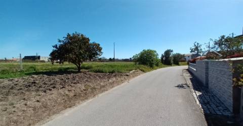 Terreno plano para construção / 7 900 m2 / Amor / Leiria