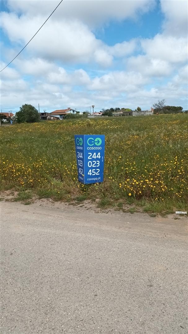 Terreno plano para construção / 7 900 m2 / Amor / Leiria