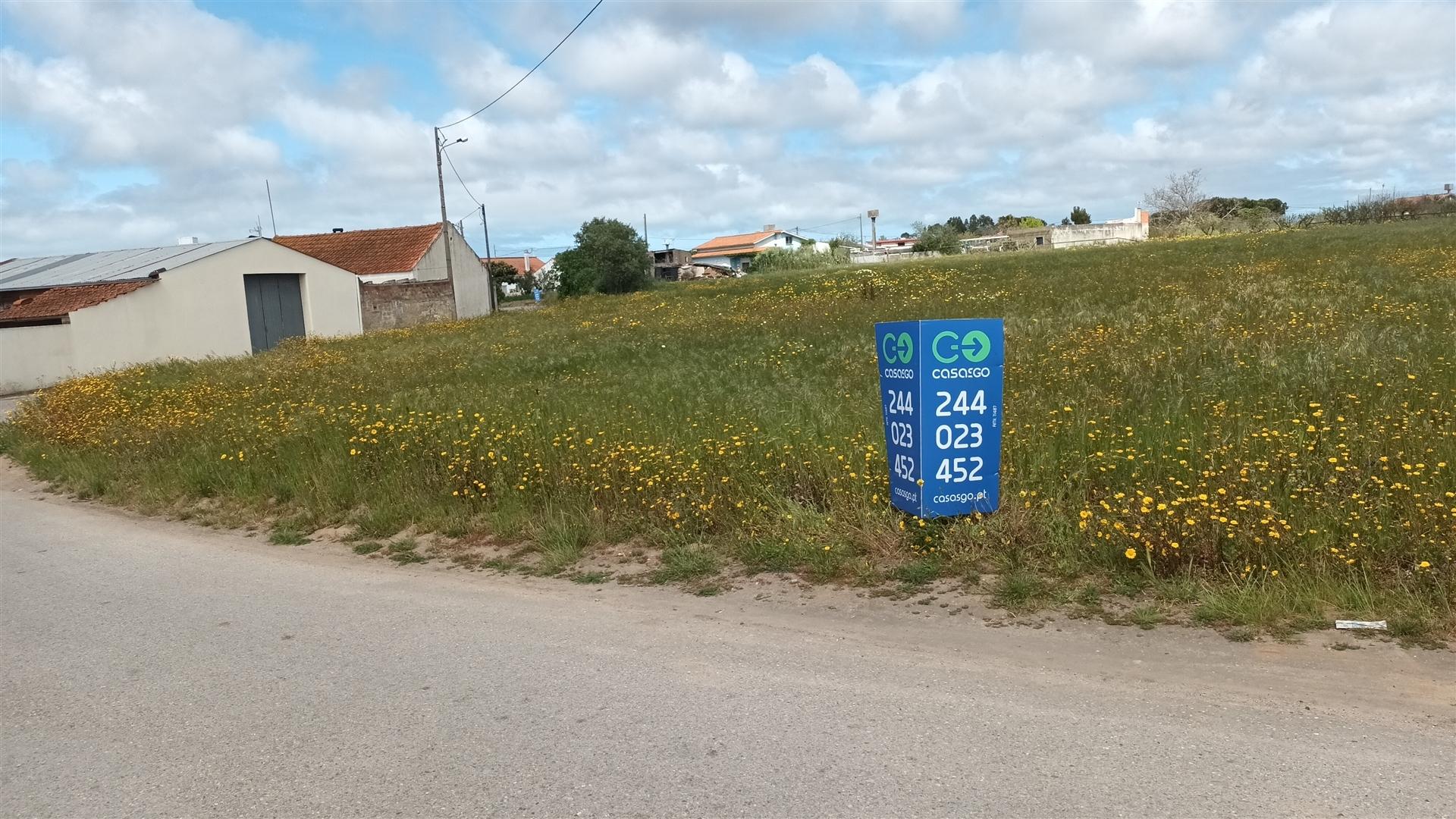 Terreno plano para construção / 7 900 m2 / Amor / Leiria