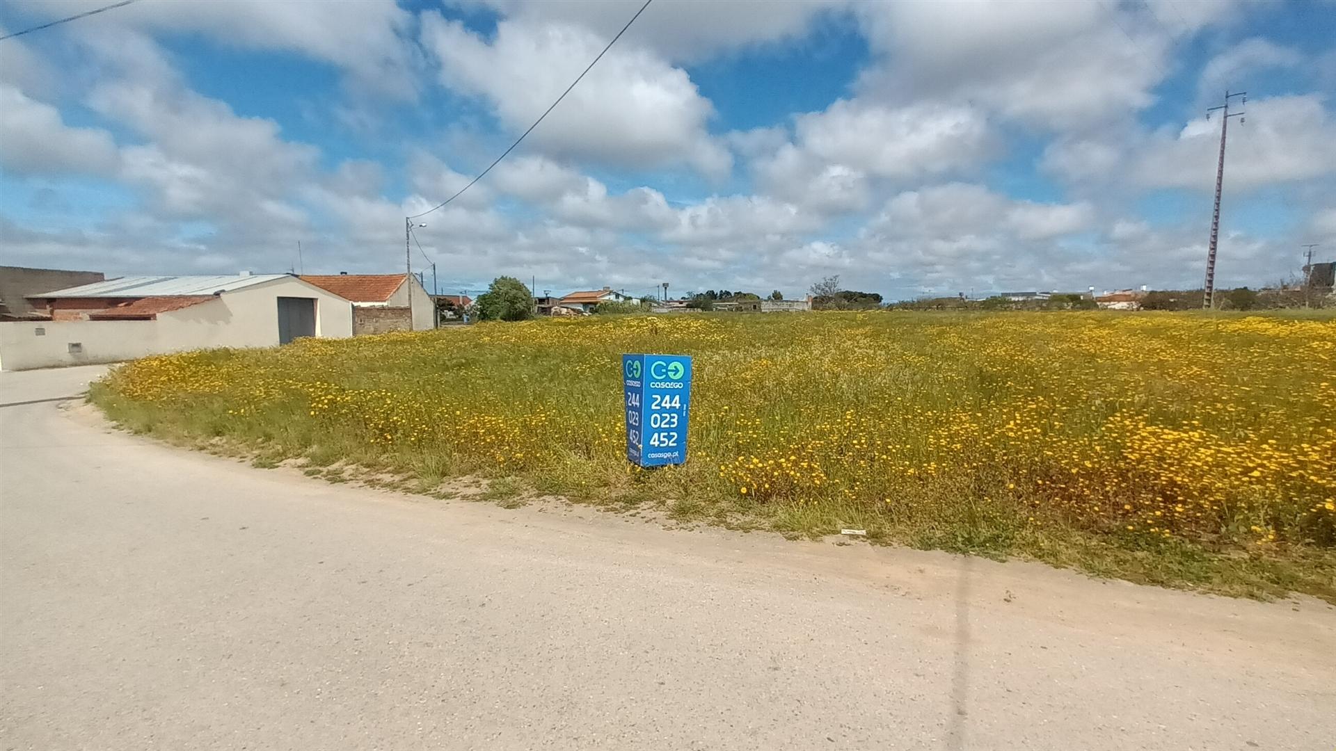 Terreno plano para construção / 7 900 m2 / Amor / Leiria