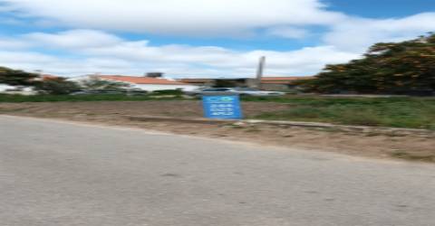 Terreno plano para construção / 7 900 m2 / Amor / Leiria