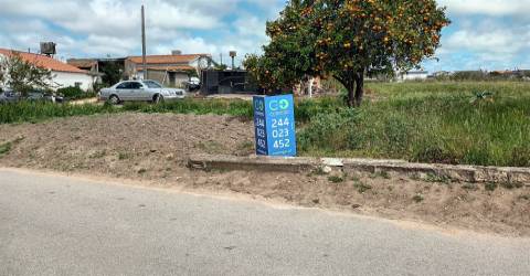 Terreno plano para construção / 7 900 m2 / Amor / Leiria