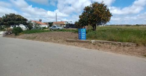 Terreno plano para construção / 7 900 m2 / Amor / Leiria