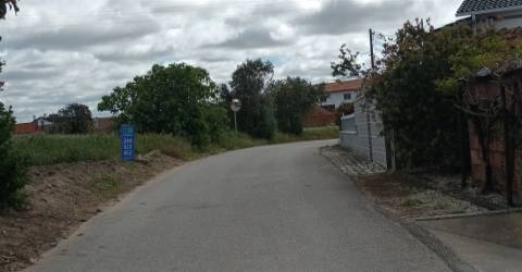 Terreno plano para construção / 7 900 m2 / Amor / Leiria