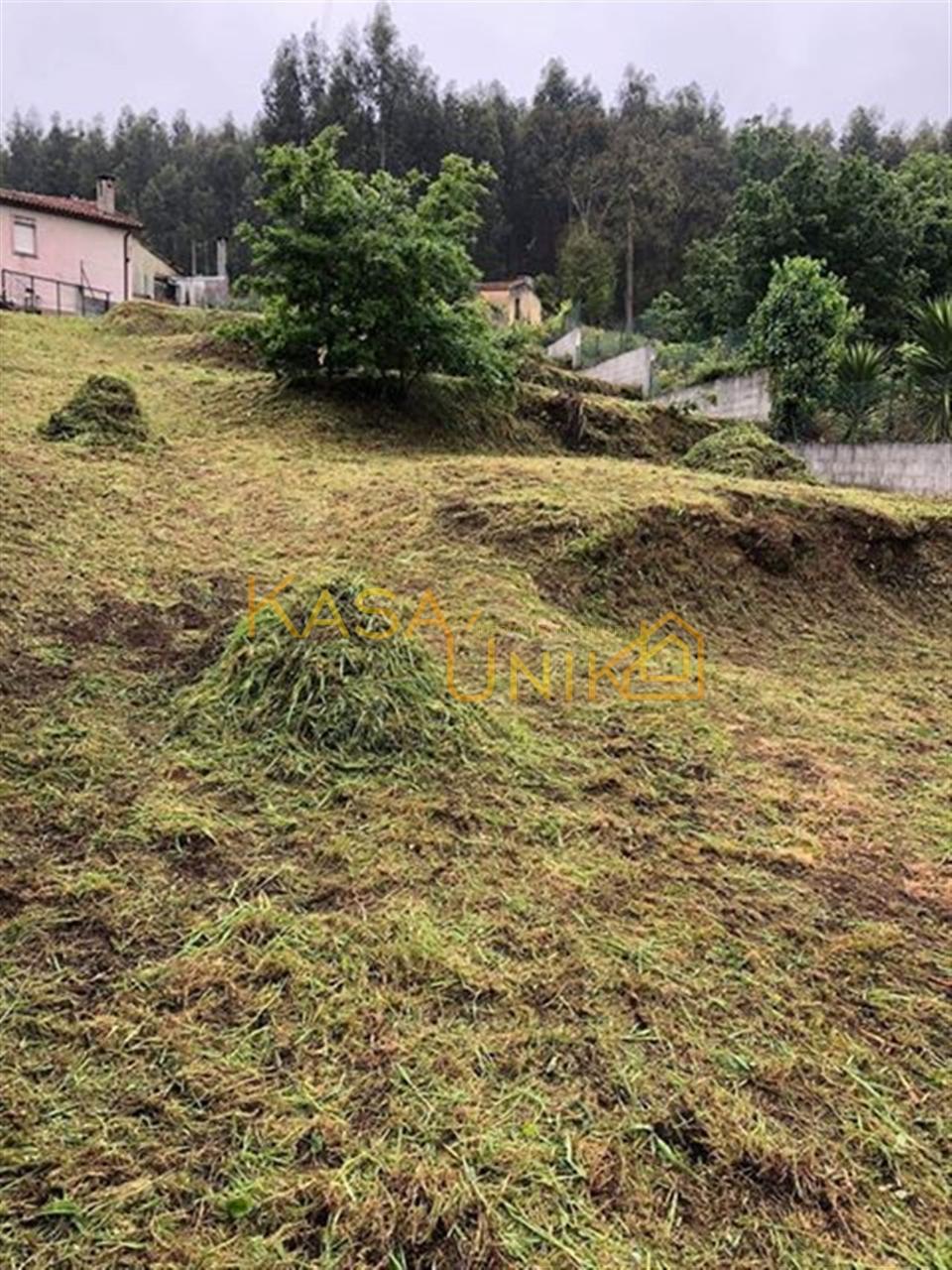 Venda de Terreno em Palmaz