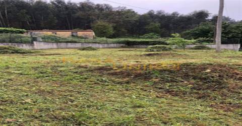 Venda de Terreno em Palmaz