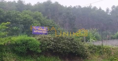 Venda de Terreno em Palmaz