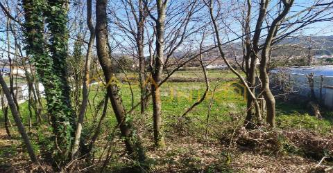 Venda de Terreno em Carregosa