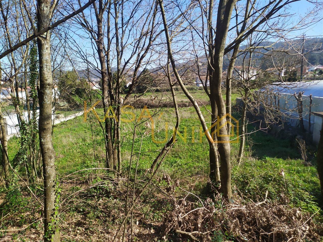 Venda de Terreno em Carregosa