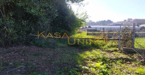 Venda de Terreno em Carregosa