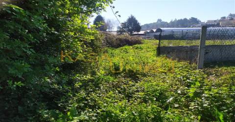 Venda de Terreno em Carregosa