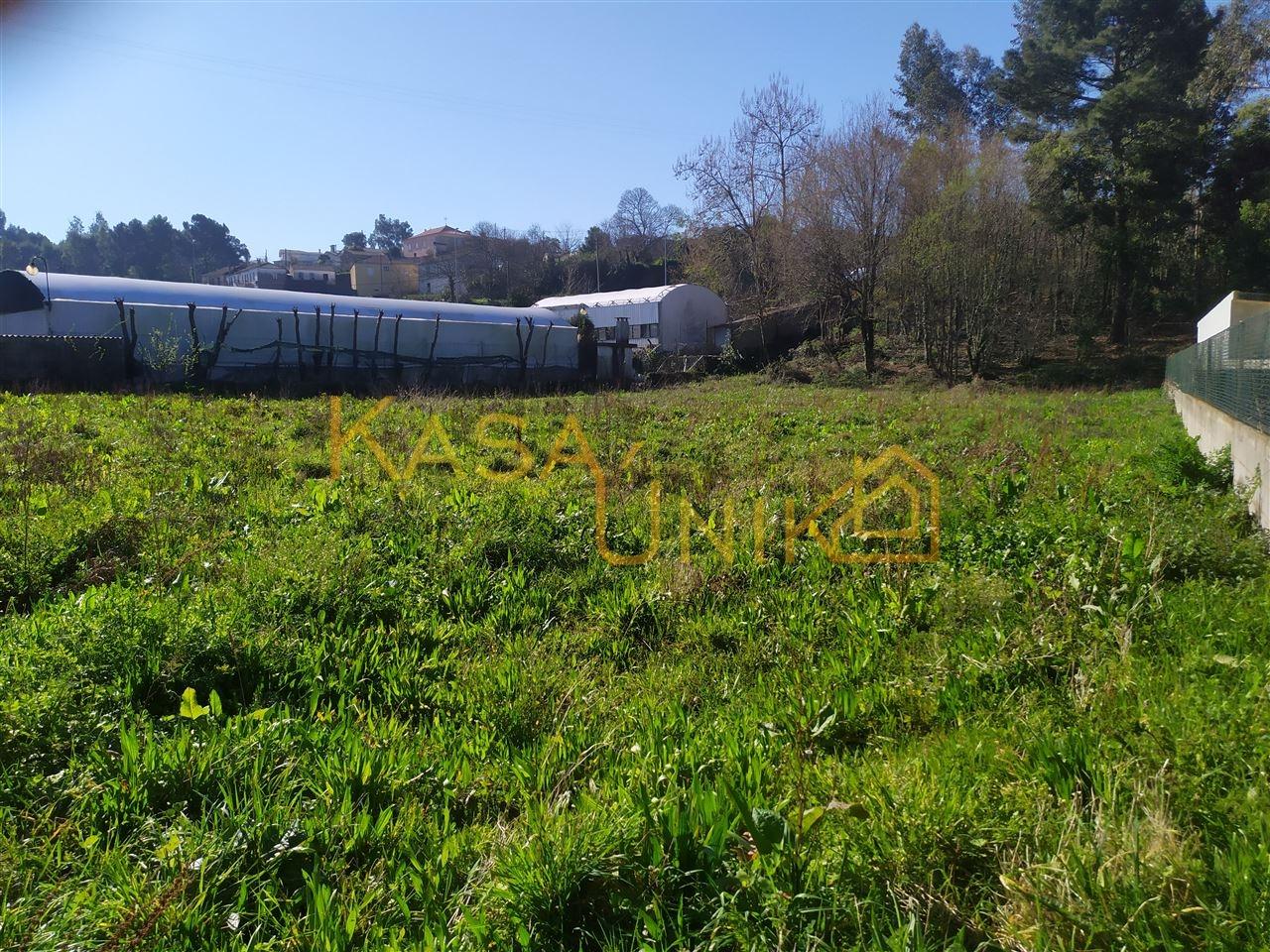 Venda de Terreno em Carregosa