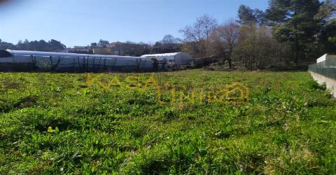 Venda de Terreno em Carregosa