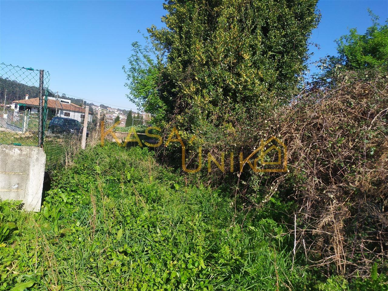 Venda de Terreno em Carregosa