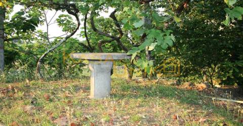 Venda de Moradia p/Restauro