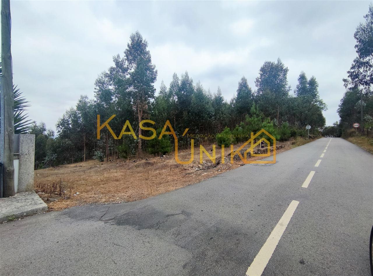 Terreno P/ Construção em Canedo