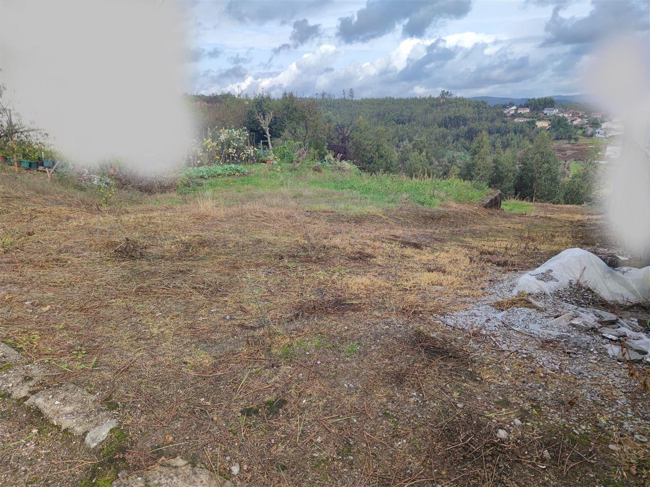 Venda de Terreno Urbano, Canedo