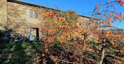 Casa Rural Antiga P/Restauro
