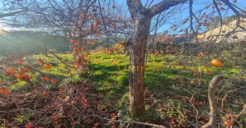Casa Rural Antiga P/Restauro