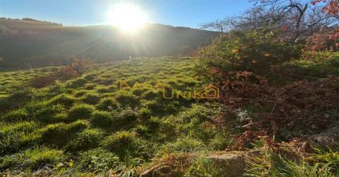 Casa Rural Antiga P/Restauro