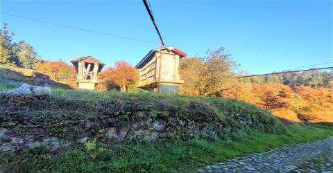 Casa Rural Antiga P/Restauro