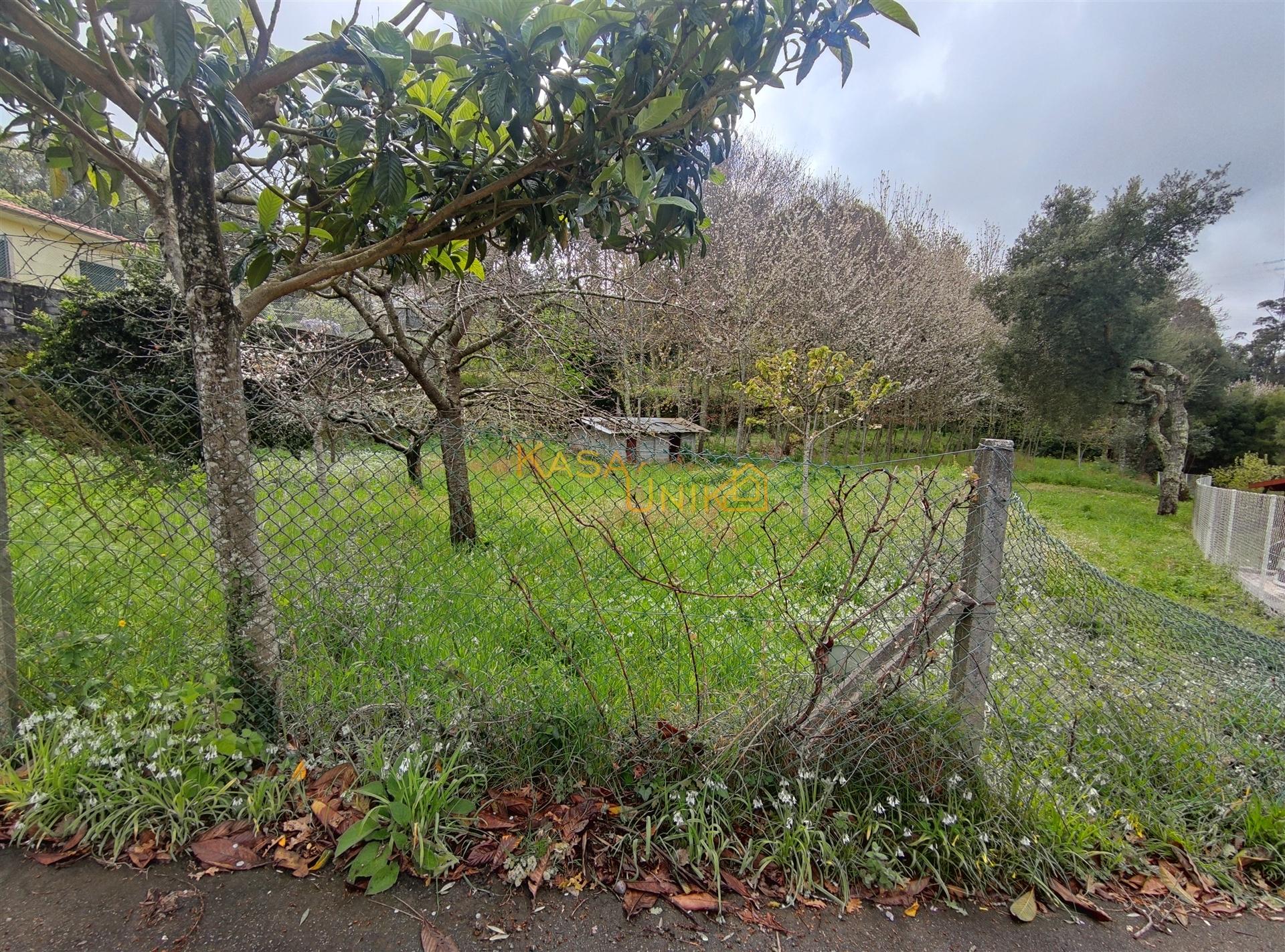 Terreno P/ Construção