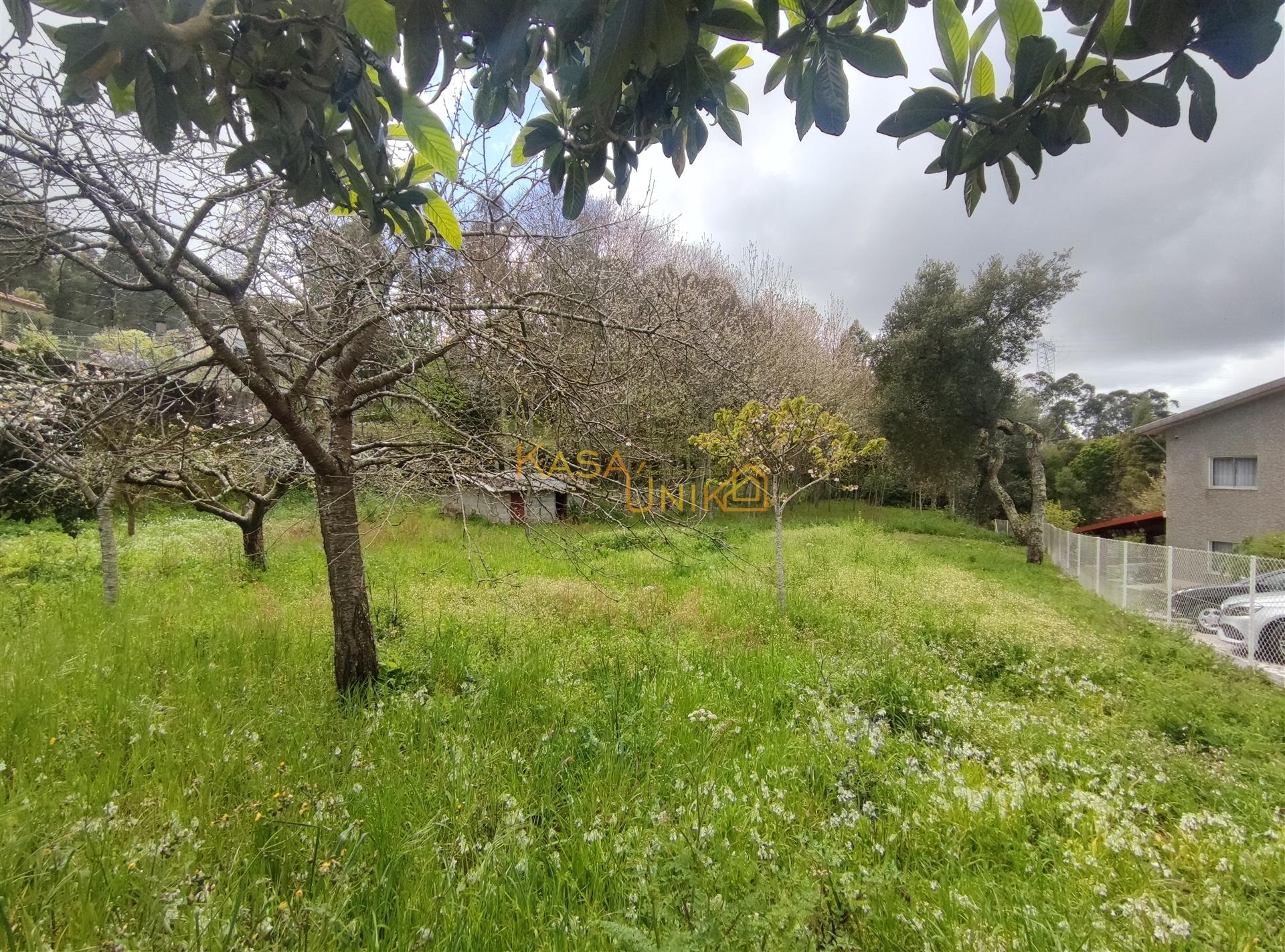 Terreno P/ Construção