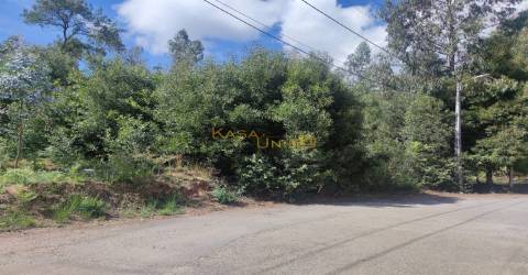 Terreno c/ 3 Frentes em Canedo
