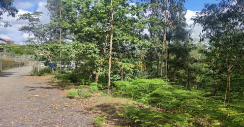 Terreno c/ 3 Frentes em Canedo