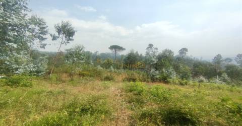 Terreno 2755m2 Canedo