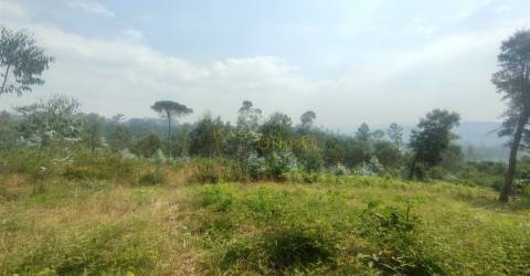 Terreno 2755m2 Canedo