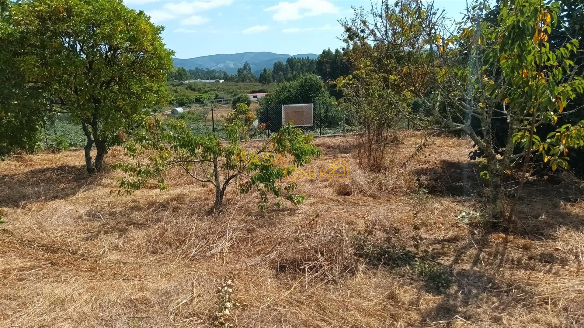 Terreno C/ Projeto Aprovado Centro Canedo