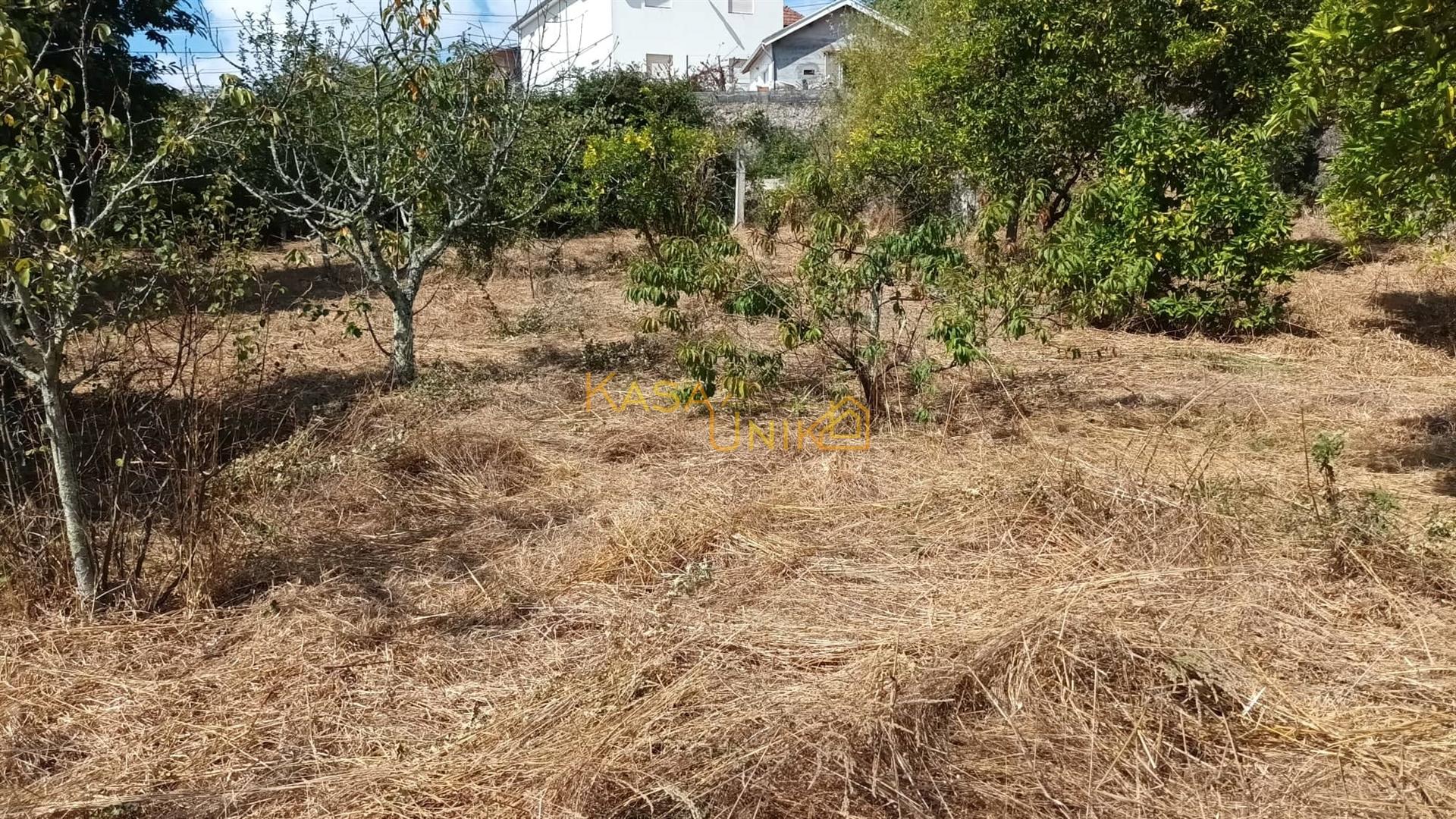 Terreno C/ Projeto Aprovado Centro Canedo