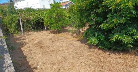 Terreno C/ Projeto Aprovado Centro Canedo