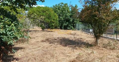 Terreno C/ Projeto Aprovado Centro Canedo