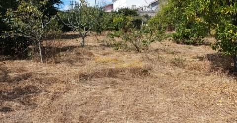 Terreno C/ Projeto Aprovado Centro Canedo